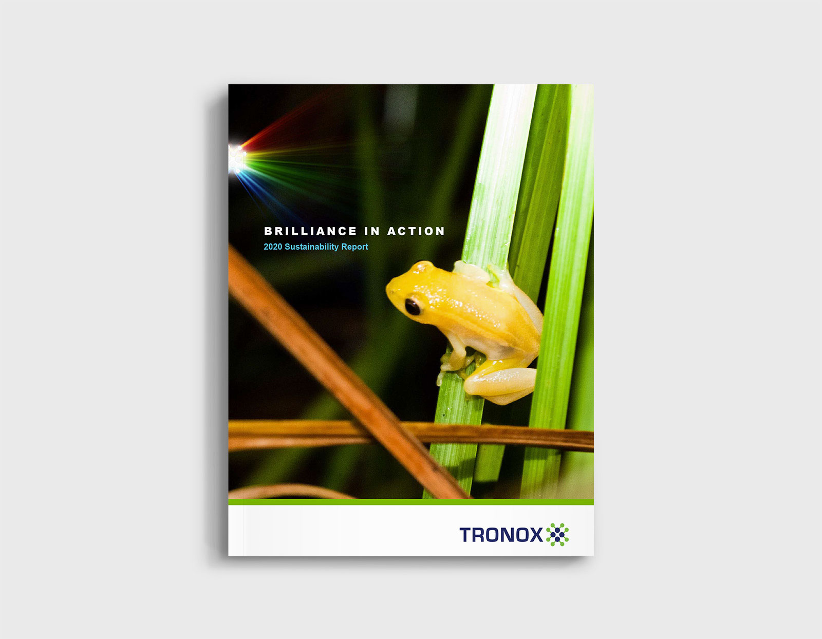 The cover of the Tronox 2020 Sustainability Report featuring a yellow tree frog sitting on a green plant stem